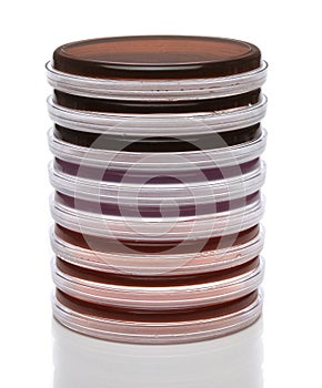 Petri dishes for medical research