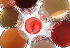 Petri dishes for medical research