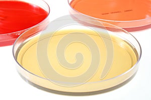 Petri dishes for medical research