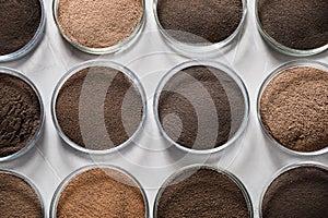 Petri dishes with soil samples on grey table. Laboratory research