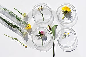 Petri dishes and test tubes with various kinds of herbs