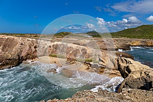 The Petrification Savannah La Savane des Petrifications waterfront, Sainte-Anne, Martinique photo