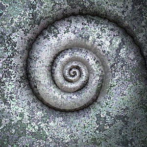 petrification spiral