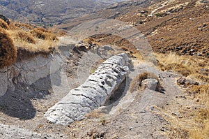 Petrifie forest.Lesbos