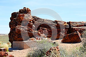 Petrified Forest