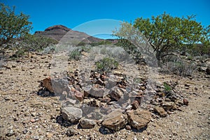 Petrified Forest