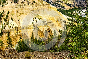 Petrified Forest Area Yellowstone N P