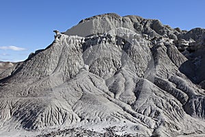 Petrified forest Argentina