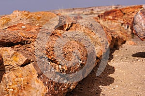 Petrified Forest, Arizona, USA