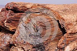 Petrified Forest, Arizona, USA