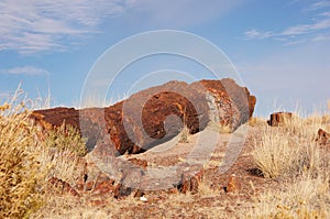 Petrified Forest, Arizona, USA