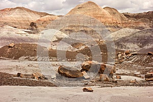 The petrified forest as seen in arizona in the springtim