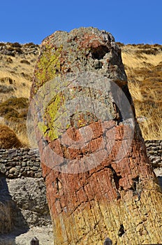 Petrified forest,the biggest trunk,Lesbos