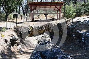 The Petrified Forest in Calistoga, California