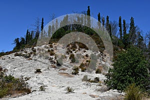 The Petrified Forest in Calistoga, California