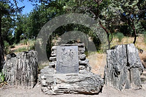 The Petrified Forest in Calistoga, California