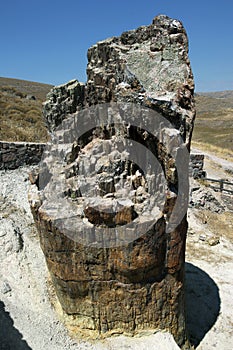 The Petrified Forest of Lesbos on Lesvos Island in Greece.