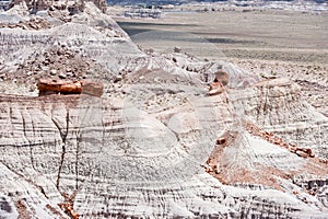 Petrified Forest National Park