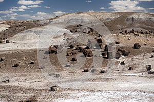 Petrified Forest National Park