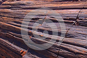 Petrified Forest National Park