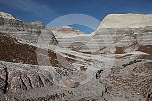 Petrified Forest National Park