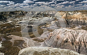 Petrified Forest National Park