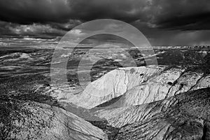 The Petrified Forest National Park