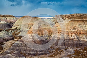 The Petrified Forest National Park