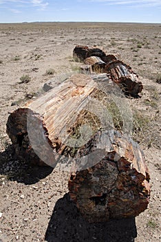 Petrified Forest National Park - Arizona.