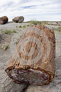 Petrified Forest National Park - Arizona.