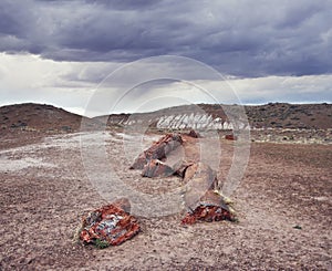 Petrified Forest National Park, Arizona, USA