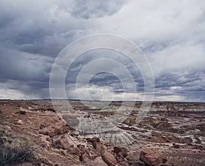 Petrified Forest National Park, Arizona, USA