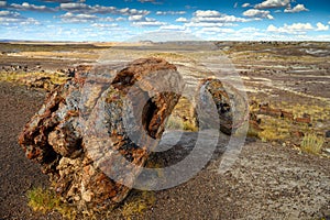 Petrified Forest National Park, Arizona, USA