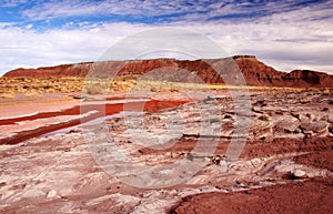 Petrified-Forest-National-Park, Arizona, USA