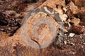 Petrified-Forest-National-Park, Arizona, USA