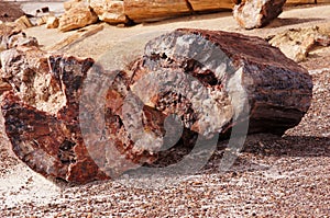 Petrified-Forest-National-Park, Arizona, USA