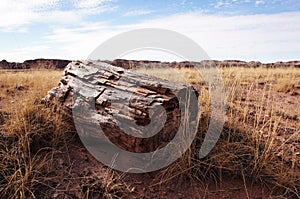 Petrified-Forest-National-Park, Arizona, USA