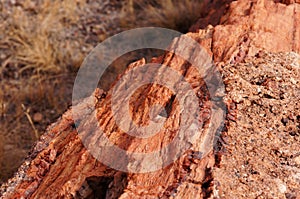 Petrified-Forest-National-Park, Arizona, USA