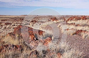 Petrified-Forest-National-Park, Arizona, USA