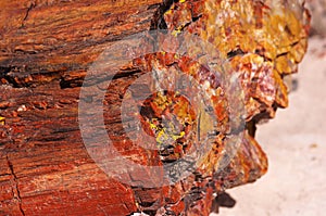 Petrified-Forest-National-Park, Arizona, USA