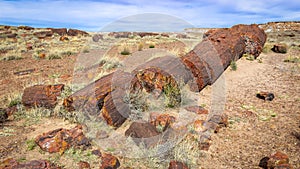 Petrified Forest National Park, AZ, USA