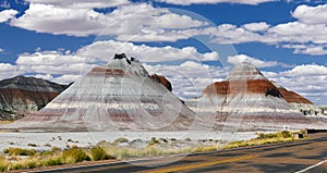 Petrified Forest National Park photo