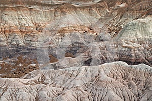 Petrified Forest National Park