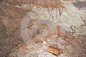 Petrified Forest National Park