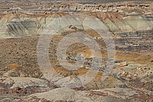 Petrified Forest National Park