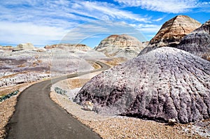 Petrified Forest National Park