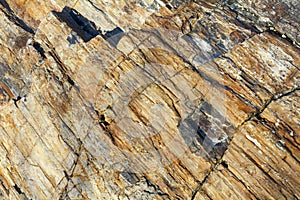 Petrified Forest, Natural Reserve