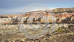 Petrified Forest Natural Reserve, Sarmiento, Patagonia