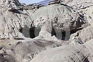 Petrified forest Argentina