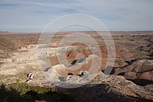 Petrified Forest and Painted Desert National Park Arizona